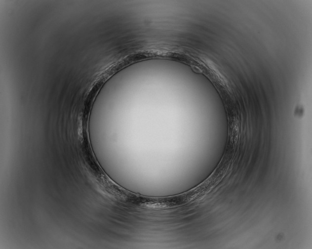 X0000100860500200806200842