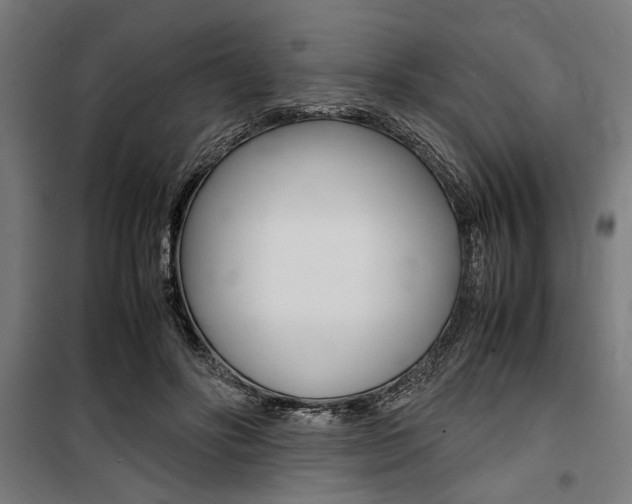 X0000100860502200806200842