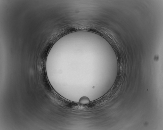 X0000100860503200806200842