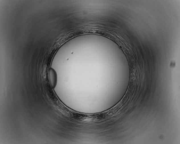 X0000100860504200806200842