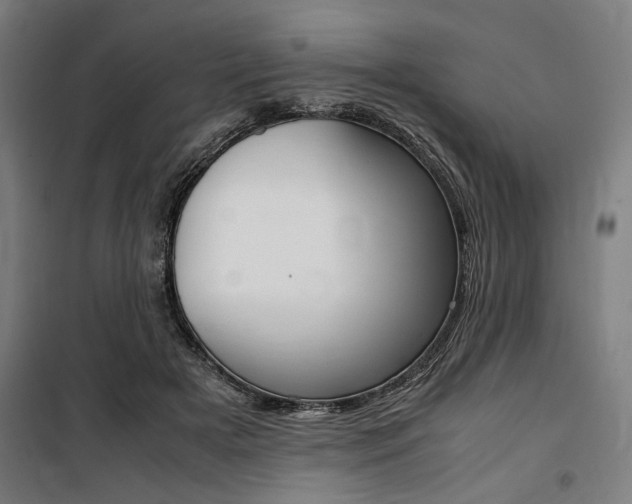 X0000100860505200806200842