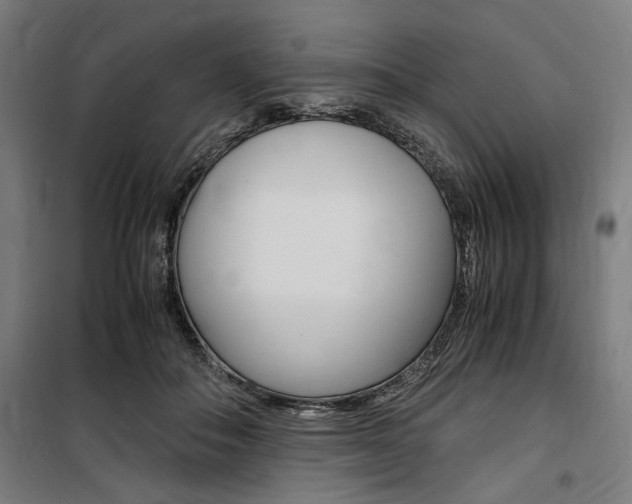 X0000100860506200806200842