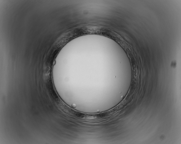 X0000100860507200806200842