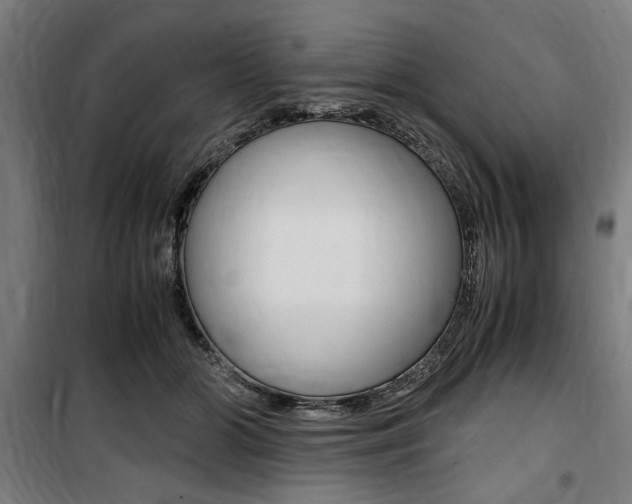 X0000100860510200806200841