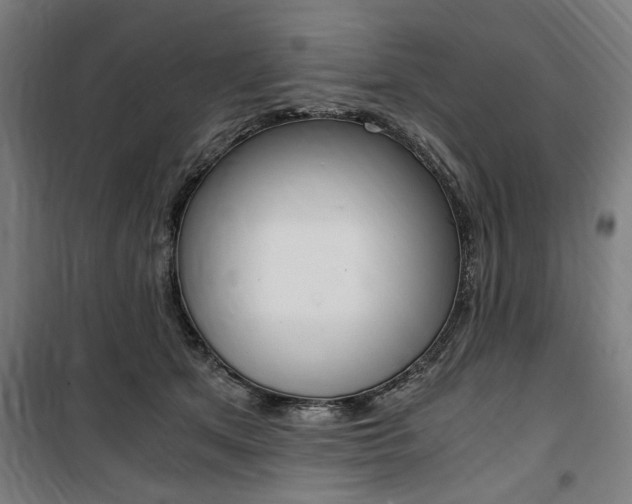 X0000100860513200806200841