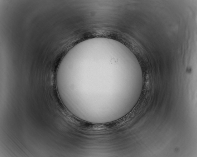 X0000100860514200806200841