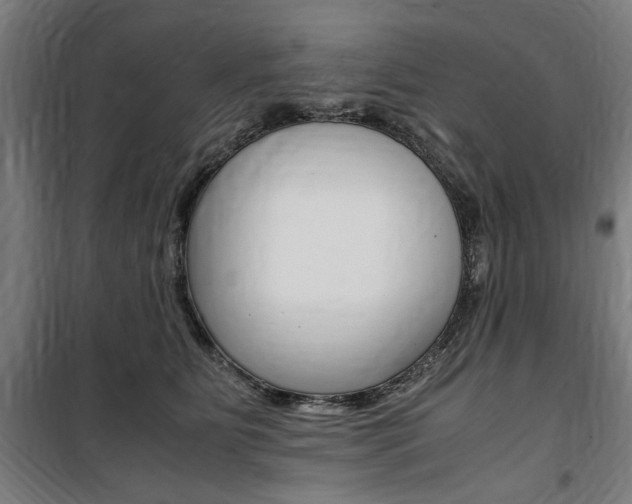 X0000100860515200806200841