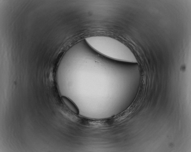 X0000100860516200806200841