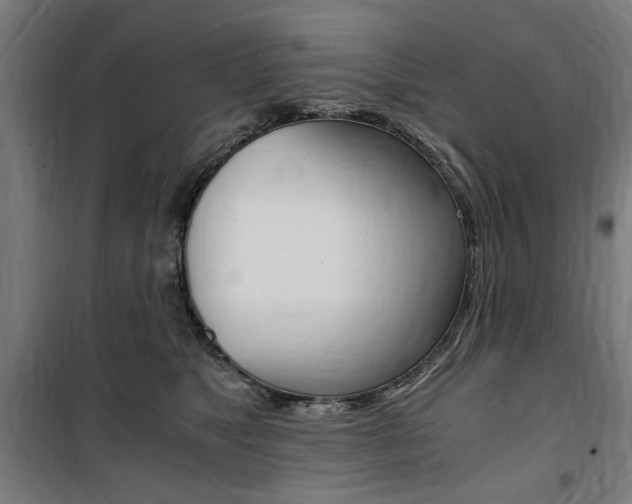 X0000100860517200806200841