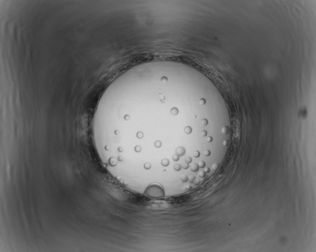 X0000100860519200806200841
