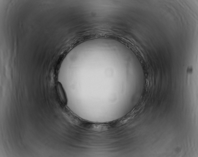 X0000100860520200806200841