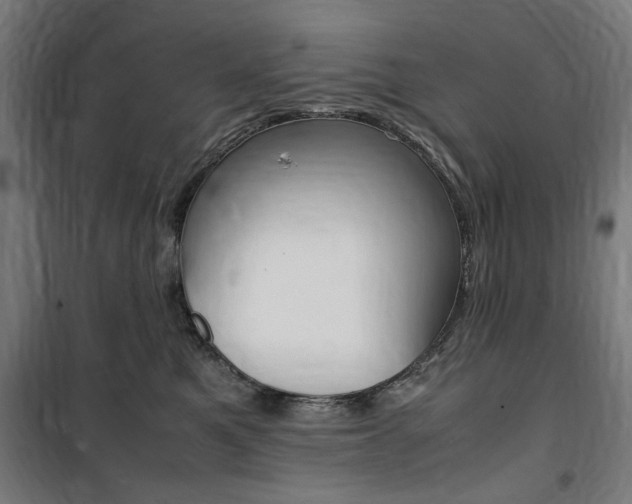 X0000100860521200806200841