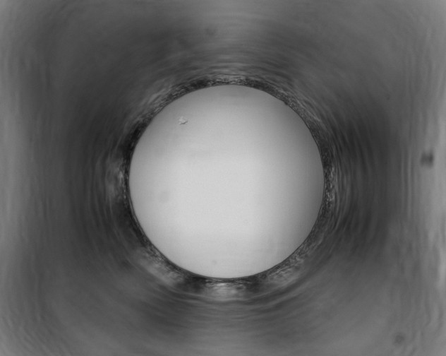 X0000100860522200806200841