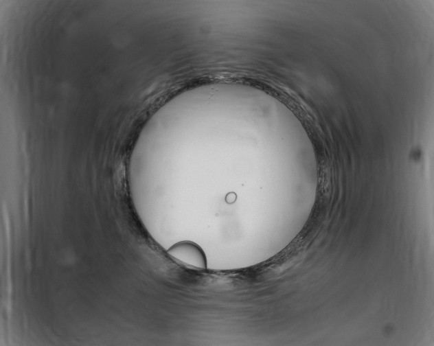 X0000100860523200806200841