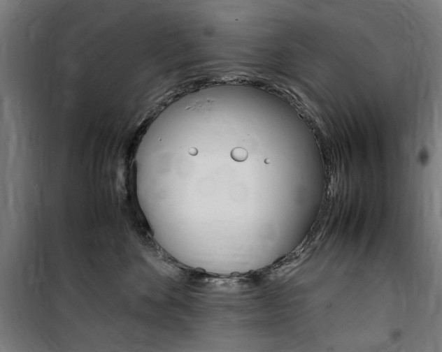X0000100860524200806200841