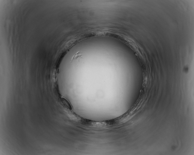 X0000100860525200806200841