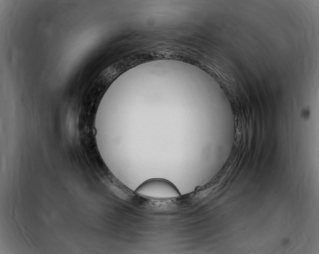 X0000100860526200806200841