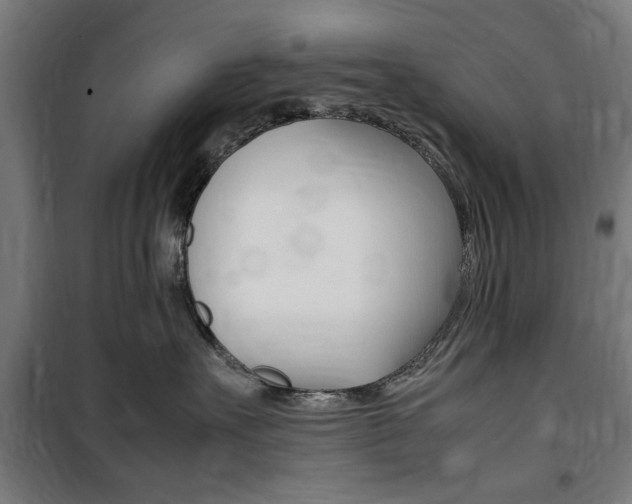 X0000100860527200806200841