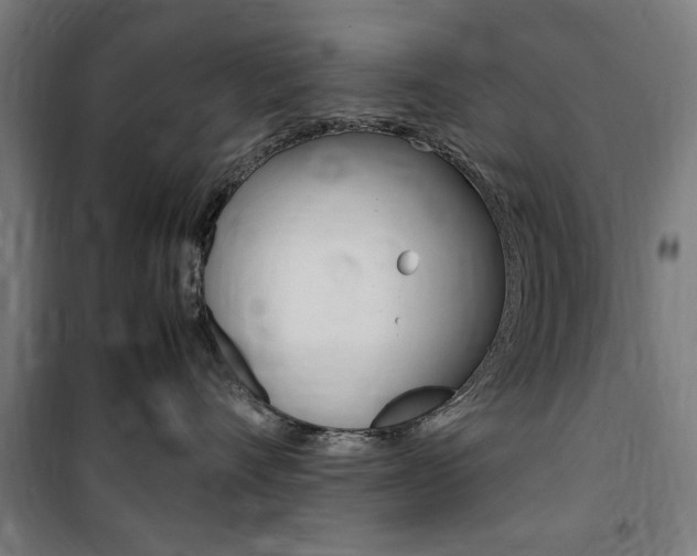 X0000100860528200806200841