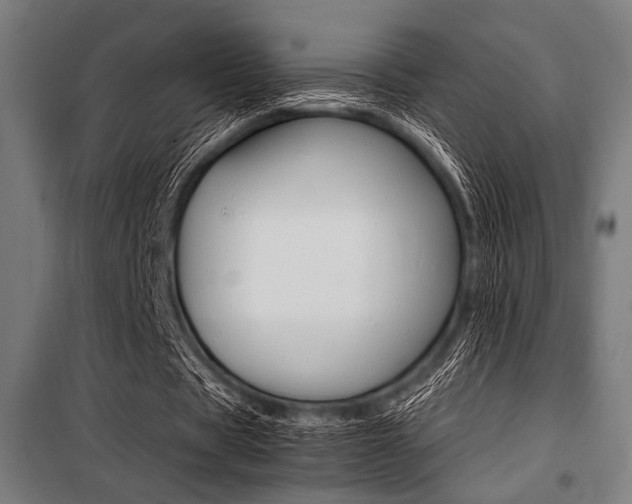 X0000100860529200806200840