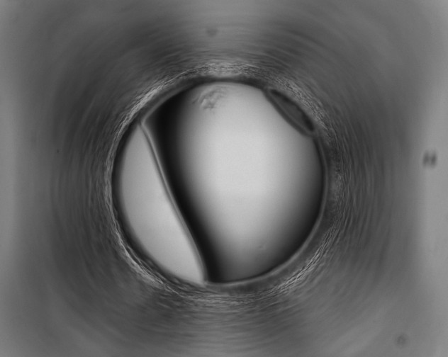 X0000100860530200806200840