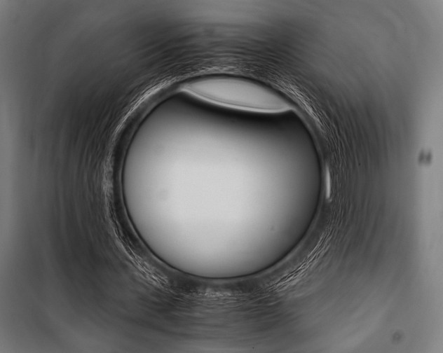 X0000100860531200806200840