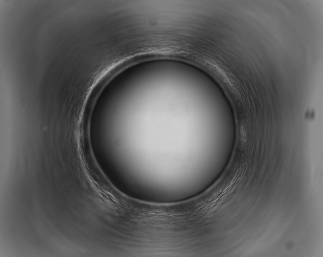 X0000100860532200806200840