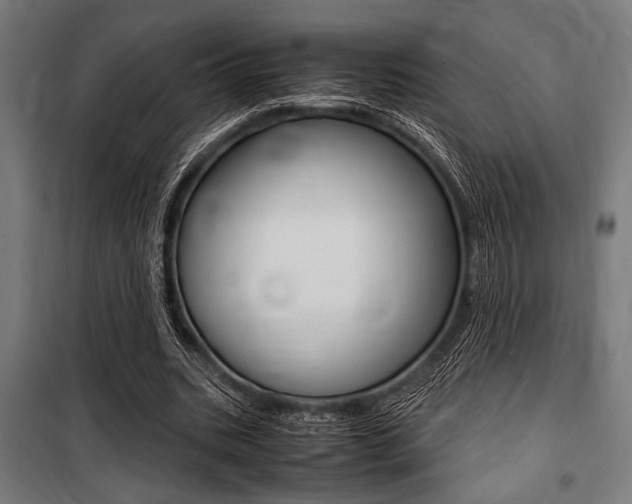 X0000100860535200806200840