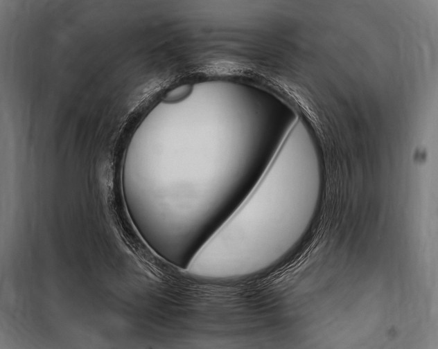 X0000100860539200806200841