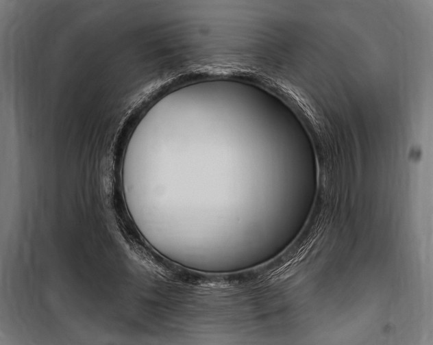 X0000100860540200806200841