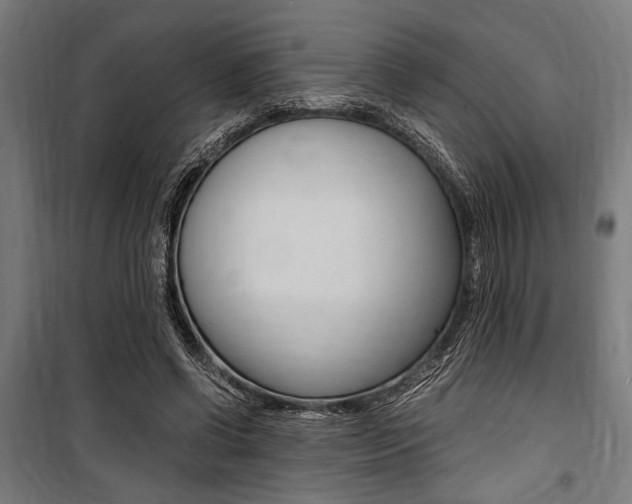 X0000100860542200806200841