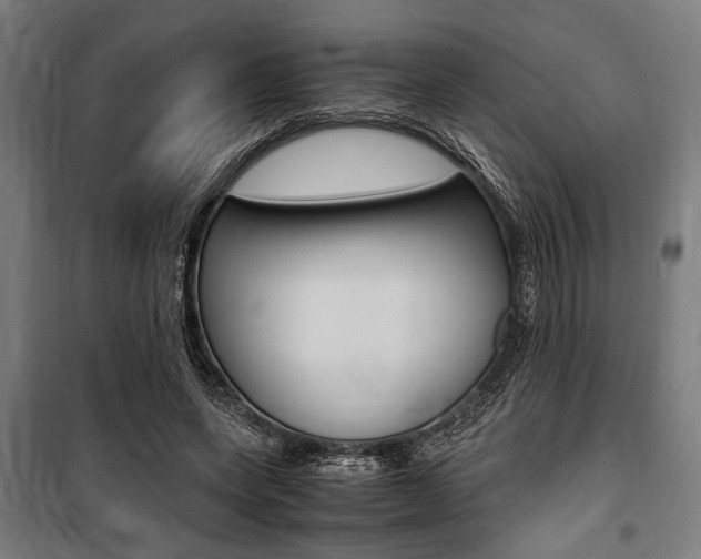 X0000100860543200806200841