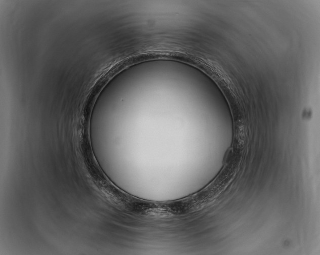 X0000100860544200806200841