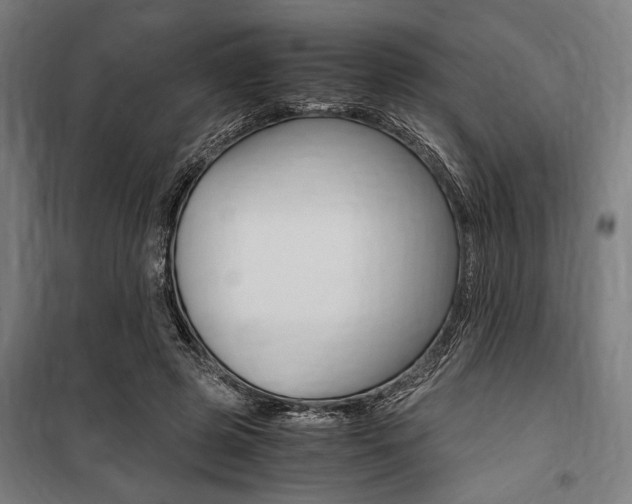 X0000100860545200806200841