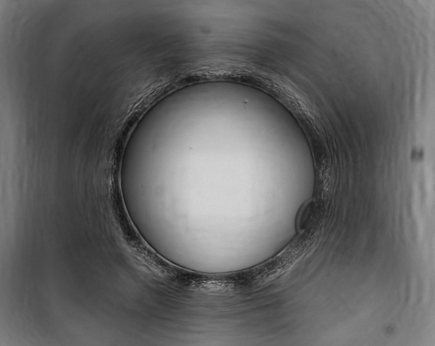 X0000100860546200806200841