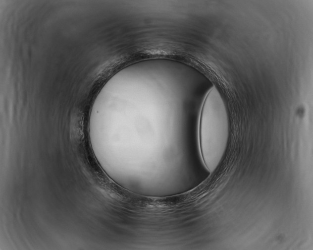 X0000100860547200806200841