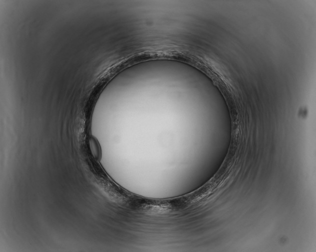 X0000100860548200806200841