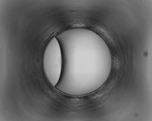 X0000100860549200806200841