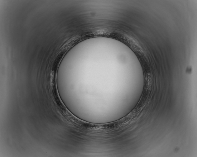 X0000100860550200806200841