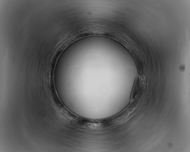 X0000100860552200806200841