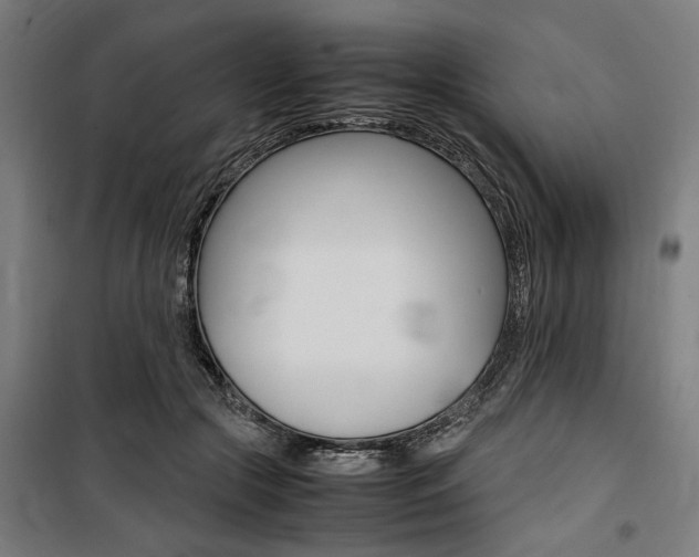 X0000100860553200806200841