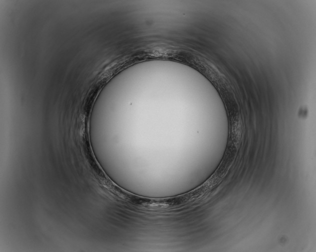 X0000100860554200806200841