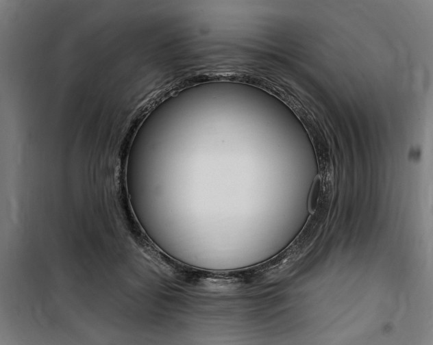 X0000100860556200806200841