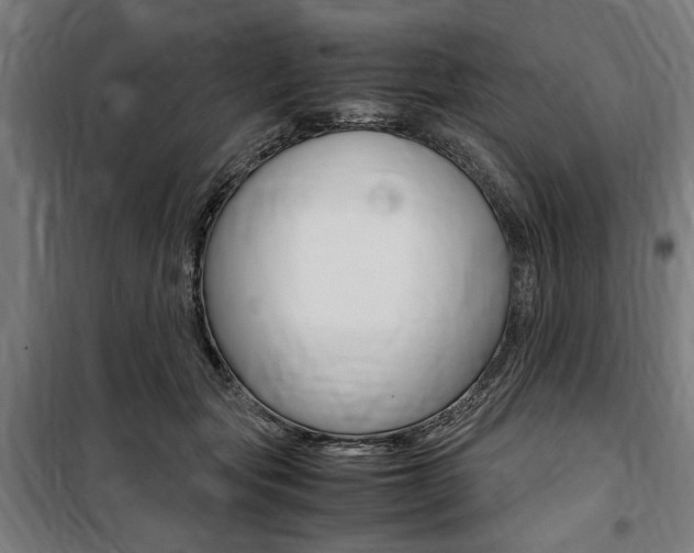 X0000100860557200806200841