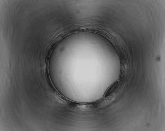X0000100860558200806200841