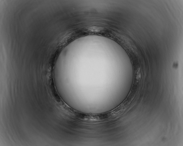X0000100860559200806200841