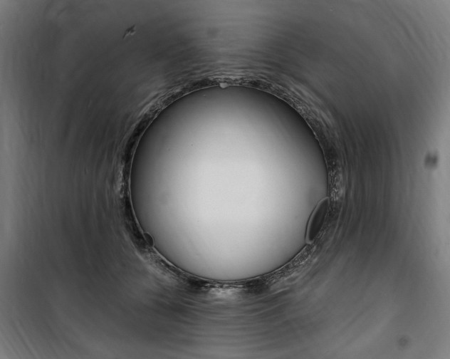 X0000100860560200806200841