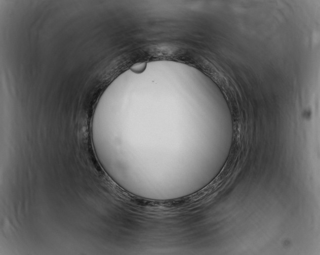 X0000100860561200806200841