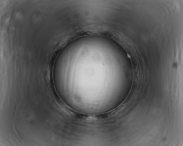 X0000100860562200806200841