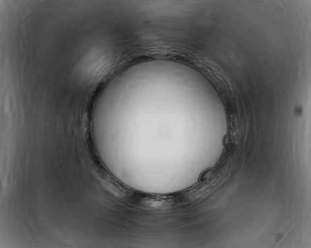 X0000100860563200806200841